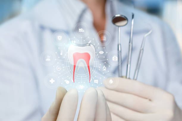 Best Full Mouth Reconstruction  in Hutto, TX